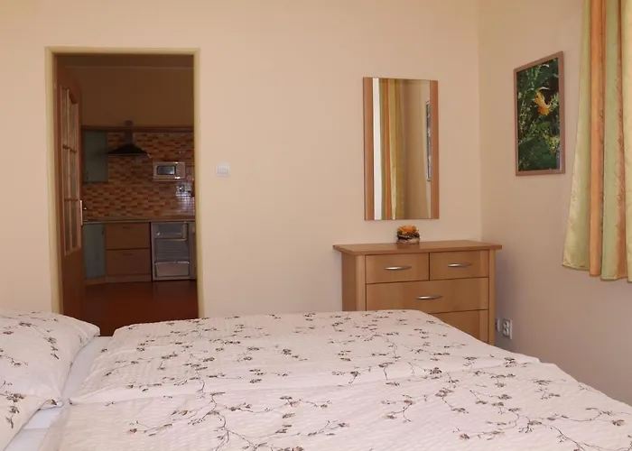 Homely Apartments Villa Christiana Marianske Lazne