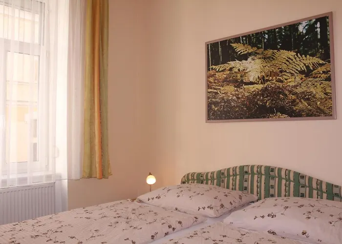 Homely Apartments Villa Christiana *