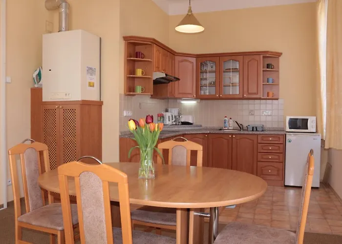 Homely Apartments Villa Christiana * Marianske Lazne