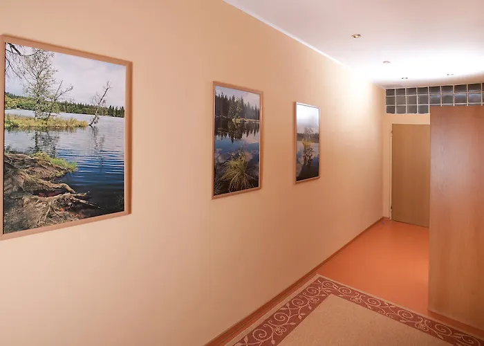 Apartment Homely Apartments Villa Christiana *