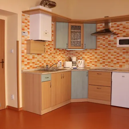 Homely Apartments Villa Christiana Apartment Marianske Lazne