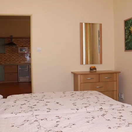 Homely Apartments Villa Christiana Marianske Lazne