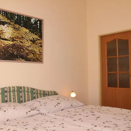 Apartment Homely Apartments Villa Christiana *