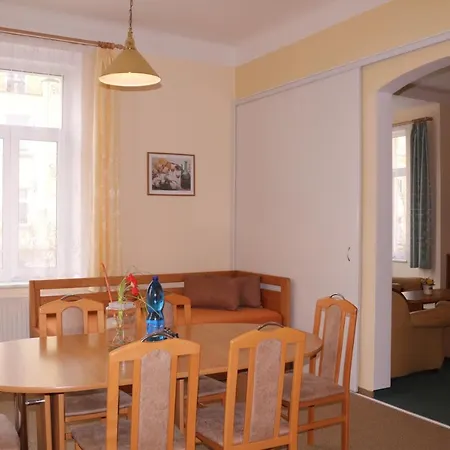 Apartment Homely Apartments Villa Christiana Marianske Lazne
